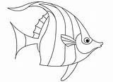 Fish Angel Coloring Beautiful Angelfish Pages Template Sketch Sheet sketch template