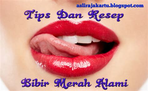 tips  resep bibir merah alami berbagai berita terbaru terpercaya