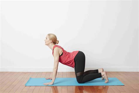 easy yoga poses  ibs symptom relief