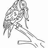 Owl Striped sketch template