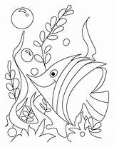 Fish Marino Pout Bestcoloringpages Codes Insertion sketch template