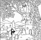 Zacchaeus Bible Coloring Pages Jesus Tree Printable Zaccheus Preschool Story Luke Kids Climbs Et Nt School Jésus Template Testament Comments sketch template