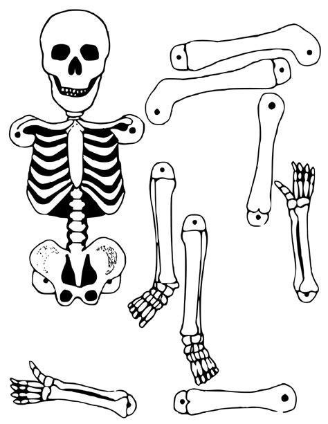 skeleton cut  template printable printable templates
