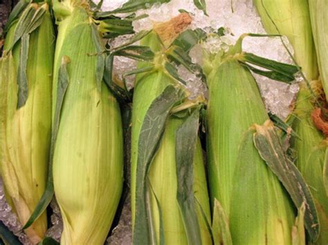 How Long Does It Take To Cook Fresh Sweet Corn With