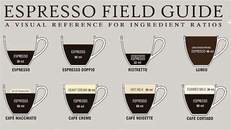 espresso measurement charts expensive coffee coffee chart coffee