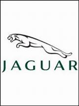Jaguar Logo Coloring Pages sketch template