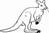 Kangourou Kangaroo Canguro Animaux Coloriage Imprimer Animales Dibujo Template Coloriages sketch template