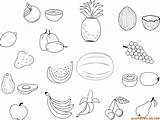Frutas Megadiverso sketch template