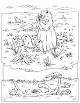 Coloring Dog Prairie Pages Animals Book Burrow Frenzy Fuzz Great Template Popular sketch template