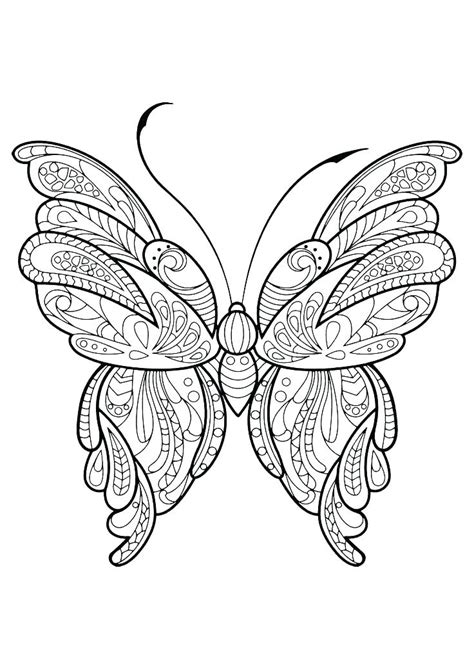 butterfly life cycle coloring page  getcoloringscom  printable