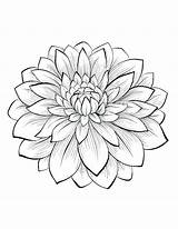 Coloring Flower Pages Cool Color Simple Printable Print Getcolorings sketch template