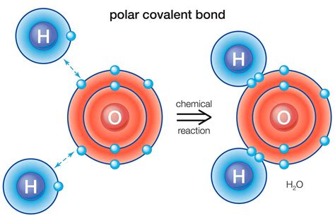 definition  examples   polar bond