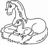 Foal Coloring Pages Mare Colouring Horse Book Pony Mustang Fairy Printable Football Getdrawings Getcolorings Player Tale Material Popular Kids Library sketch template