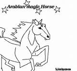 Arabo Cavallo Arabe Cheval Coloriage Caballo Acolore Caballos Calcar Arabes árabe Coloritou sketch template