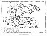 Trout Fische Malvorlage Forelle Fisch Ausmalen Umriss Wonderweirded Fischen Kostenlose sketch template