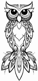 Tribal Eule Buho Eulen Coruja Contorno Colorear Coco Zeichnen Aves Owls Buhos Zentangle Henna Tatuagem Búho Brandmalerei Desenho Kolorowanki Aguilas sketch template