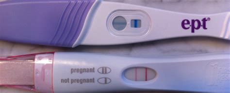 ghim tren pregnancy test