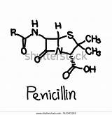 Penicillin sketch template