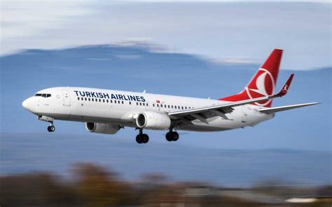 fg orders turkish airlines  suspend operations  nigeria nigerian news latest nigeria