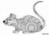 Mouse Coloring Adult Book Zentangle Hand Rat Drawn Mandala Decorations Other Pages Stock Colouring Photography Cursor Button Vector Animal Choose sketch template