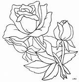 Rosas Tulipanes Plantilla sketch template