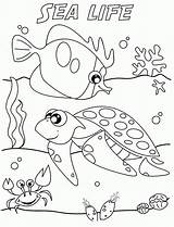 Coloring Pages Underwater Sea Under Print Popular sketch template