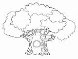 Tree Arbre Coloriage Coloriages sketch template