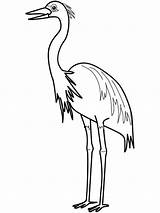 Coloring Egret Pages Birds Designlooter Egrets 1000px 11kb sketch template