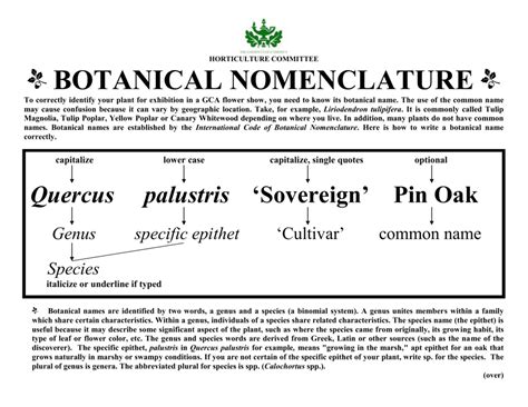 botanical nomenclature