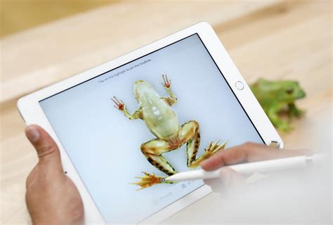 ipad apple releases  tablet meant  education