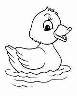 Template Duck Coloring Ducks Animal Pages Little Templates Five Printable Kids Print Easy Farm Drawing Cartoon Colouring Animals Baby Cute sketch template