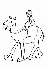 Camel Riding Man Coloring Printable Description sketch template