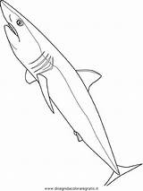 Mako Requin Squali Squalo Haie Colorier Lightupyourbrain Animali Poisson Océans Malvorlage Imprimé sketch template