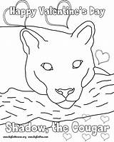 Cougar Print Popular Coloring sketch template