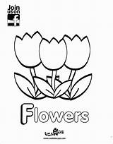 Showers Tulip sketch template