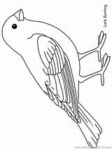 Coloring Bird Pages Animals Printable Color Robin Template Birds Patterns Drawings Print Outlines Draw Coloringpagebook Popular Templates Printables Ws Advertisement sketch template