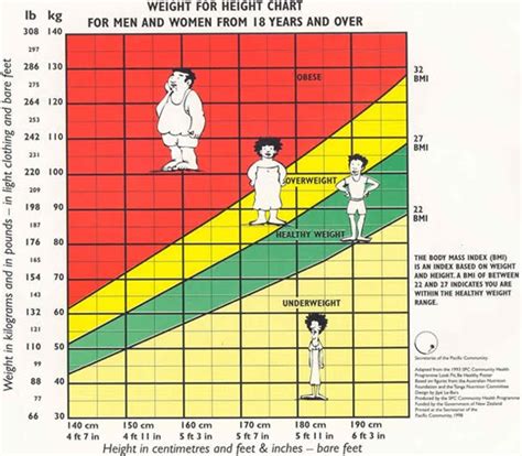 Weight Chart Index