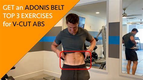 Adonis Belt Anatomy