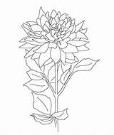 Coloring Pages Floral Botanical Print sketch template