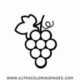 Uva Colorare Uvas Frutas Disegni Vettoriale Grape Ultracoloringpages Impresión sketch template