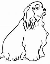 Spaniel Cocker Coloring Pages Dog Clipart Cockapoo Cliparts Template Handipoints Clipartbest Library 35kb 1275 Printable Getcolorings Drawings Getdrawings Color sketch template