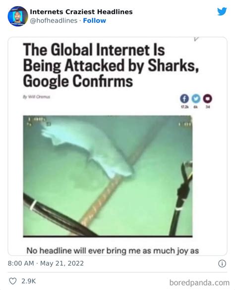 this twitter page collects 50 of the most ridiculous news headlines