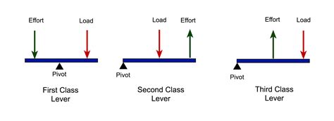 class lever diagram wwwgalleryhipcom  hippest pics