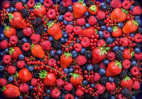 list    fruit varieties horticulturecouk