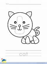 Cat Worksheet Coloring Flashcard Worksheets Learning Pages Thelearningsite Info Bear Animal sketch template