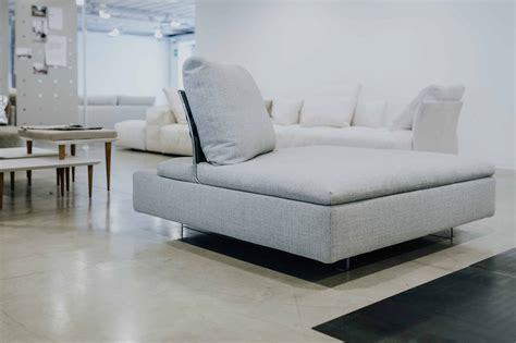 comfortable sofa bed  daily    complete guide
