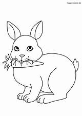 Hase Hasen Malvorlagen Happycolorz Malvorlage Katze Carrot Tiere Rabbits sketch template