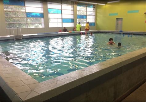5 best public swimming pools in auckland磊