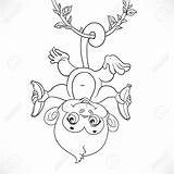 Monkey Hanging Drawing Baby Cute Cartoon Banana Drawings Getdrawings Vector Choose Board Vectorstock sketch template