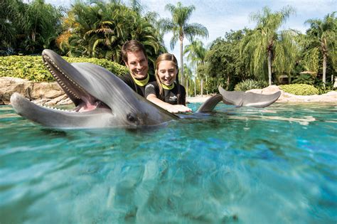 discovery cove offering florida resident deal  seaworld aquatica admission orlando sentinel